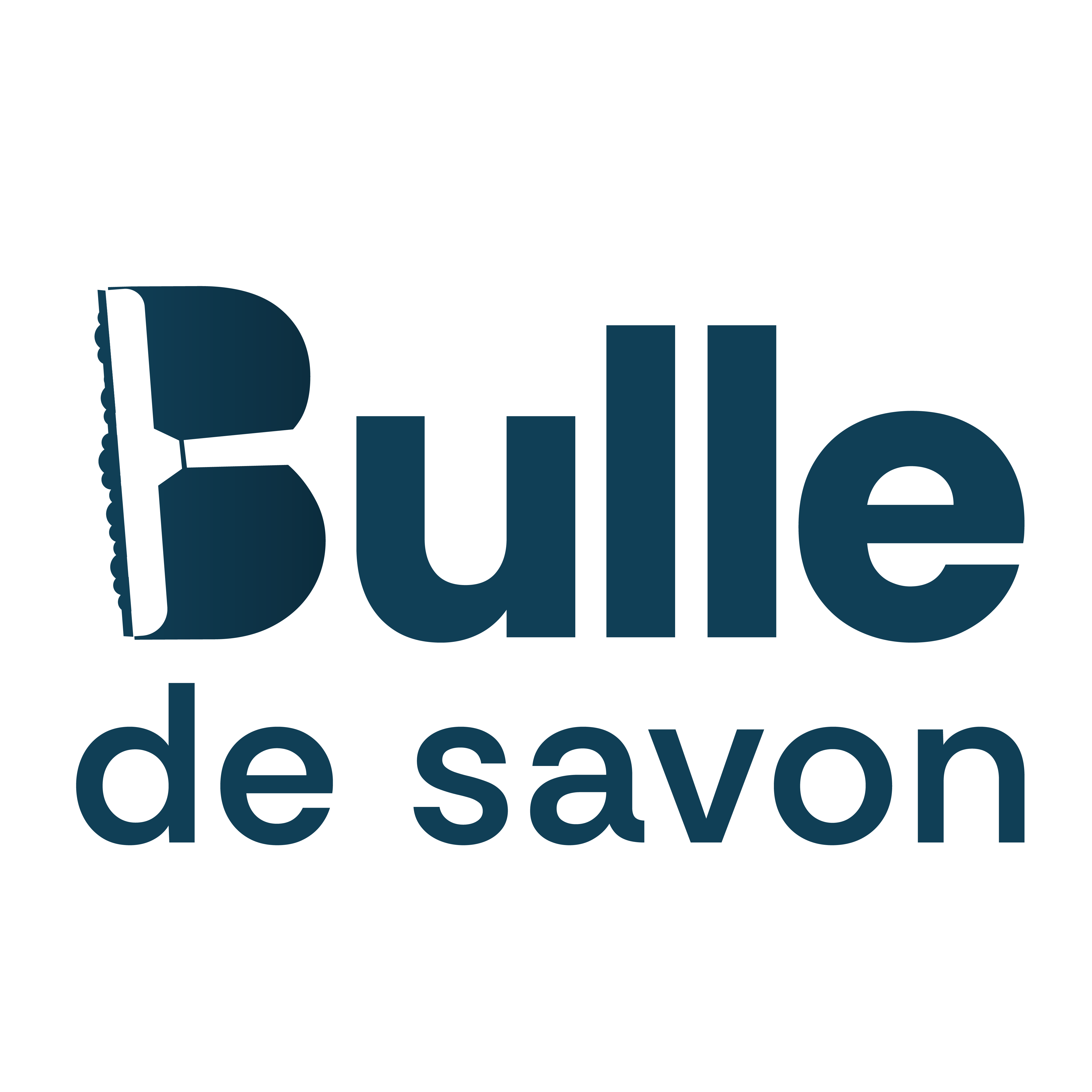 Logo Bulle de Savon